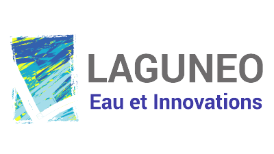 Directeur Marketing Externalisé et Digital Paris - laguneo