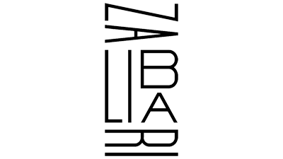 Directeur Marketing Externalisé et Digital Paris - zalibari